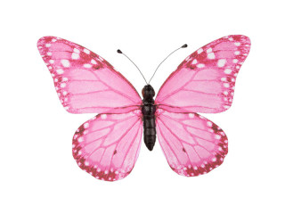 papillon "PVC imprimé" rose 20 x 15cm
