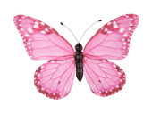 papillon "PVC imprimé" rose 30 x 22cm