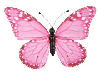 butterfly "PVC printed" pink 50 x 35cm