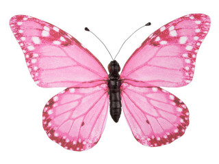 butterfly "PVC printed" pink 50 x 35cm