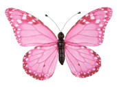 papillon "PVC imprimé" rose 50 x 35cm