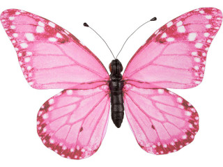 butterfly "PVC printed" pink 80 x 60cm