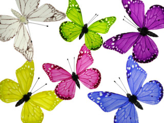Schmetterlinge 6er Set mit Magnet/Klipp versch. Farben/Grössen