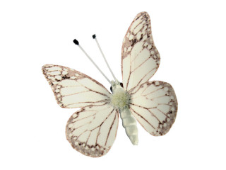 Schmetterlinge 6er Set mit Magnet/Klipp weiss 5 x 4cm