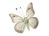 butterflies 6 pcs. with magnet/clip  white 5 x 4cm