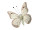 butterflies 6 pcs. with magnet/clip  white 5 x 4cm