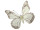 butterflies 6 pcs. with magnet/clip white 8 x 5,5cm