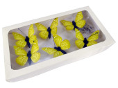 Schmetterlinge 6er Set mit Magnet/Klipp gelb 5 x 4cm