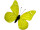papillons 6 pcs. avec aimant/attache jaune 8 x 5,5cm