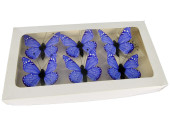 papillons 6 pcs. avec aimant/attache bleu 5 x 4cm