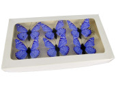 Schmetterlinge 6er Set mit Magnet/Klipp blau 5 x 4cm