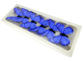 Schmetterlinge 6er Set mit Magnet/Klipp blau 8 x 5,5cm