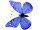 Schmetterlinge 6er Set mit Magnet/Klipp blau 8 x 5,5cm