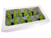 Schmetterlinge 6er Set mit Magnet/Klipp grün 5 x 4cm