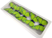 Schmetterlinge 6er Set mit Magnet/Klipp grün 8 x 5,5cm