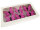 Schmetterlinge 6er Set mit Magnet/Klipp pink 5 x 4cm