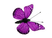 papillons 6 pcs. avec aimant/attache lilas 5 x 4cm