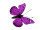 papillons 6 pcs. avec aimant/attache lilas 5 x 4cm