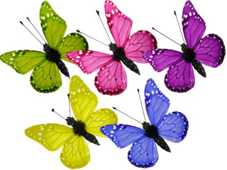 papillons 6 pcs. avec aimant/attache mélangé 5 x 4cm
