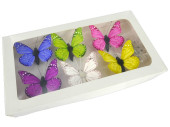 papillons 6 pcs. avec aimant/attache mélangé 5 x 4cm