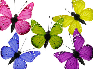 papillons 6 pcs. avec aimant/attache mélangé 8 x 5,5cm