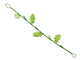 guirlande des feuilles pour fleuraisons M8 180cm