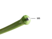 guirlande des feuilles pour fleuraisons M8 180cm