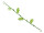 guirlande des feuilles pour fleuraisons M8 180cm