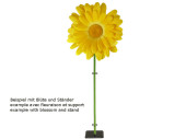 Margeritenblüten M8 in versch. Grössen und Farben
