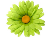 marguerite blossoms M8 green Ø 60cm