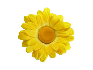 fleuraisons marguerite M8 jaune Ø 40cm