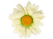 fleuraisons marguerite pour suspendre blanc Ø 60cm