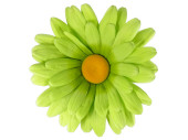 fleuraisons marguerite pour suspendre vert Ø 60cm
