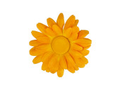 marguerite blossoms orange Ø 40cm