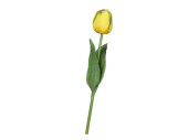 tulipe "Royal" 49cm jaune