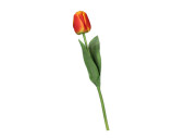 tulipe "Royal" 49cm orange