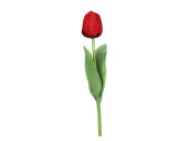 tulip "Royal" 49cm red
