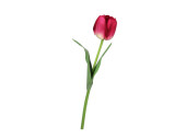 tulipe "Royal" 49cm rose vif
