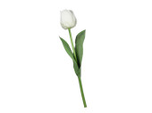 tulipe "Royal" 49cm blanc