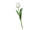 tulipe "Royal" 49cm blanc