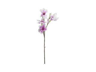 magnolia branch white-rose L 80cm