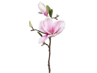 branche de magnolia blanc-rose L 37cm