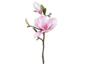 magnolia branch white-rose L 37cm