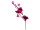 Magnolienzweig pink L 130cm