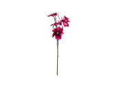 magnolia branch pink L 80cm
