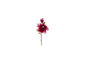 Magnolienzweig pink L 37cm