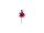 branche de magnolia rose-vif L 37cm
