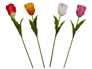 tulipe "Big" diff. couleurs