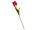 tulip "Big" 85cm red