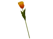 tulip "Big" 85cm yellow-orange